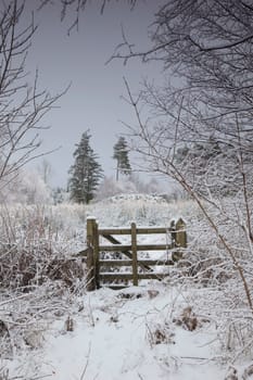 winter landscape with trees and a wooden fence