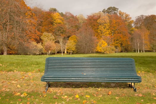 kelso, scottish borders, scotland bench in the park in autumn