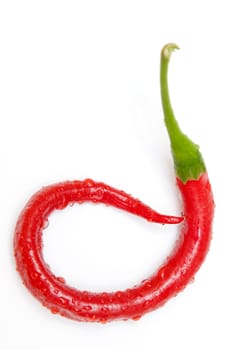 a red jalapeno pepper that has curled