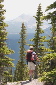 kananaskis country, alberta, canada  a male hiker walking down a trail at nahahi ridge