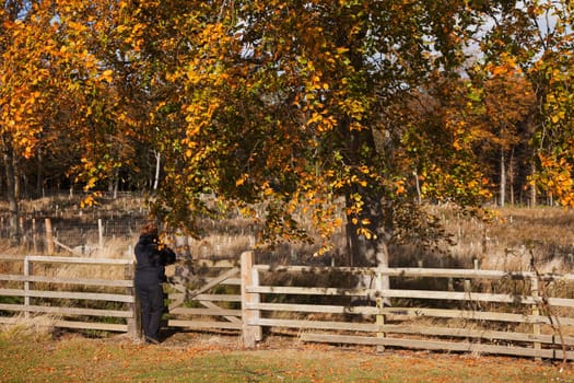 person standing by a fence, northumberland, england