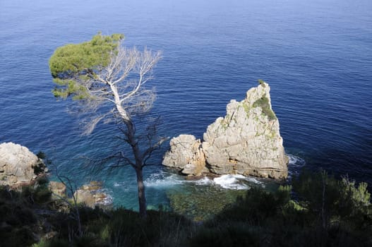Rocks on the coast of Mallorca