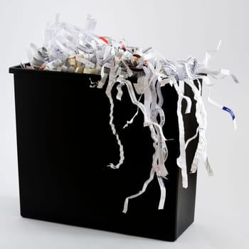 Shredded Paper