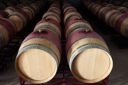 Wine barrels