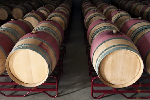 Wine barrels