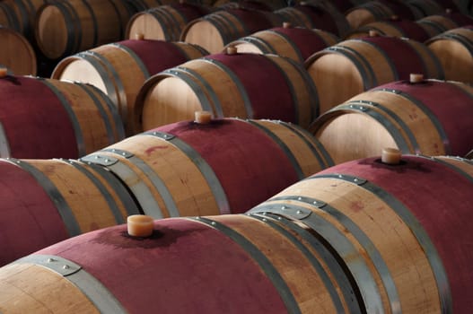 Wine barrels