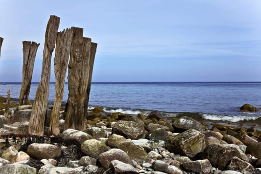 Coast in the north