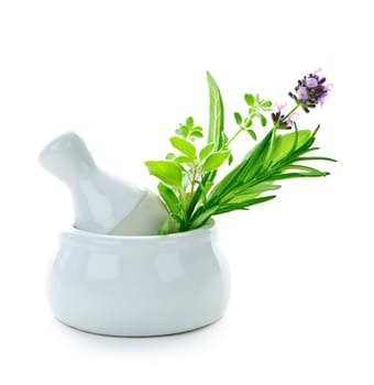 Healing herbs in mortar and pestle