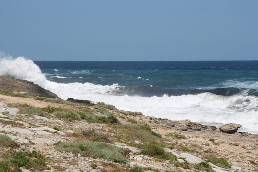 Surf 2