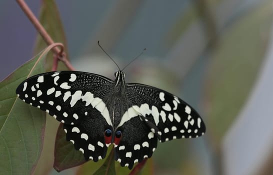 Beauty of nature