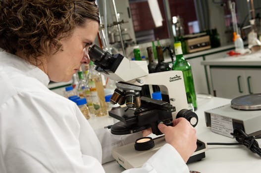 Winery laboratory