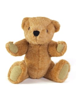 Teddy Bear on a plain white background.
