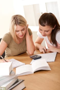 Student series - Two friends studying together