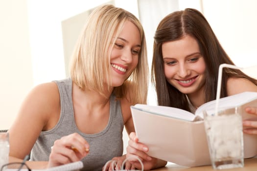 Student series - Two friends studying together