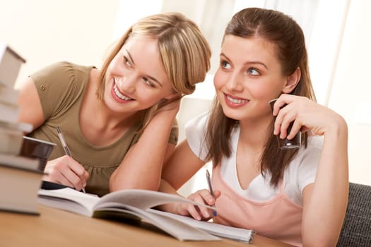 Student series - Two friends studying together