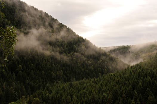 Okertal in fog and rain,Harz,Germany.