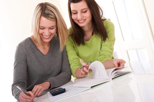 Student series - Two students writing homework