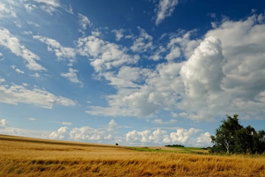 August afternoon