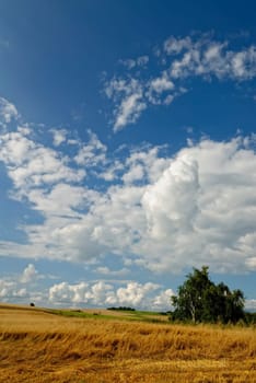August afternoon