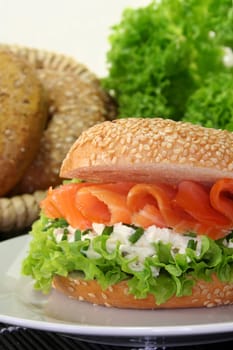 Bagel