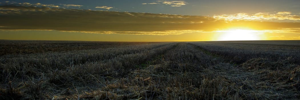 ENDLESS EXPANSE