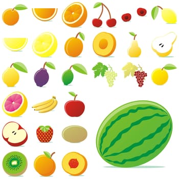 vector isolated fruits