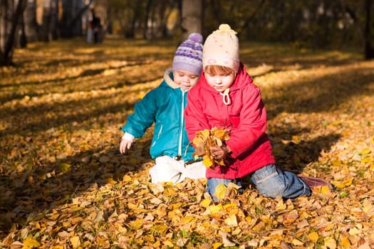 Children throw autumn leaves 4