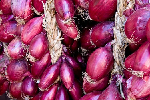 Red Onions 220810-1