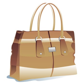 isolated handbag