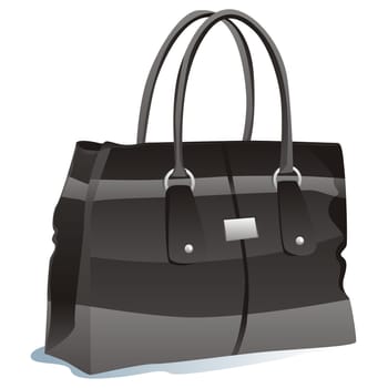 isolated handbag