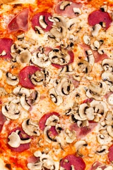 Pizza mushrooms,black olive,ham
