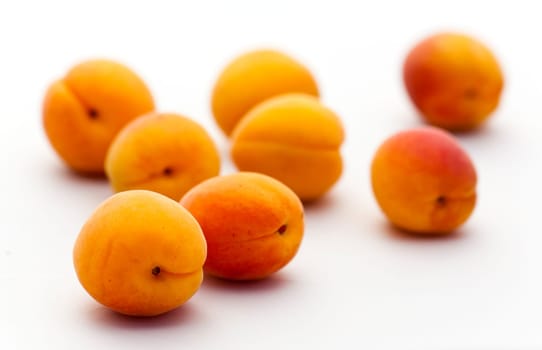Apricots ,on white