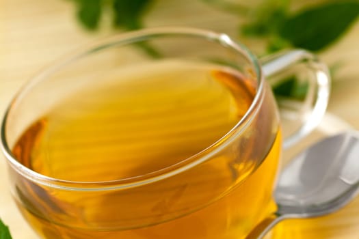 Glass of tea with peppermint
