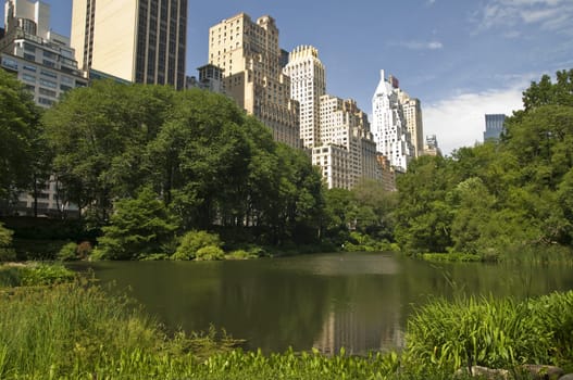 New York City Central Park