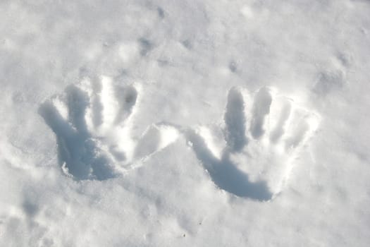 Handprints in the snow