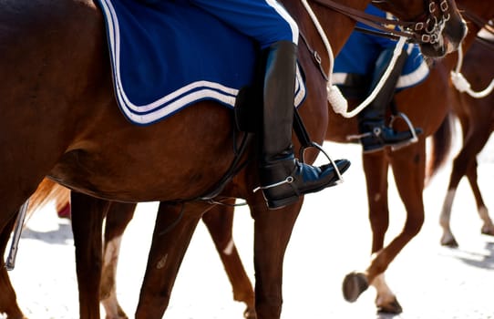 riding horses
