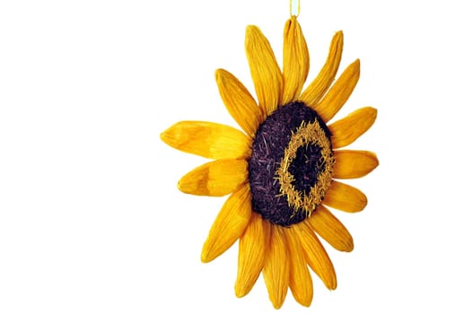 Sunflower yellow