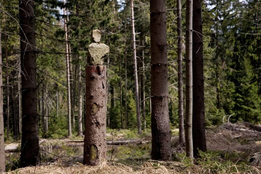 The Guardians of Epprechtsein - Landart made of Fichtelgebirge granite