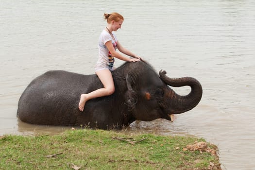 Elephant Riding
