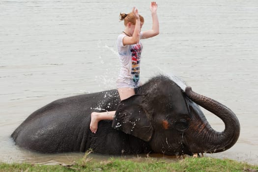 Elephant Riding