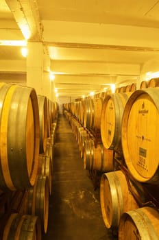 Wine cellar