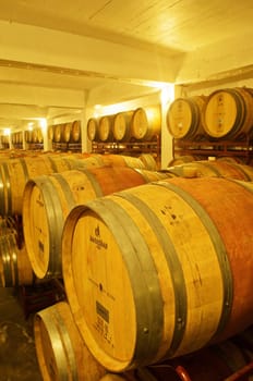 Wine cellar