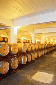 Wine cellar