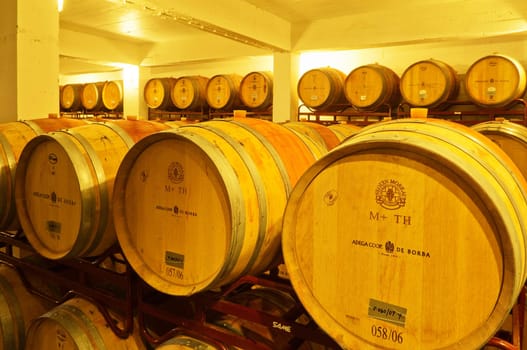 Wine cellar