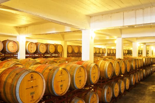 Wine cellar