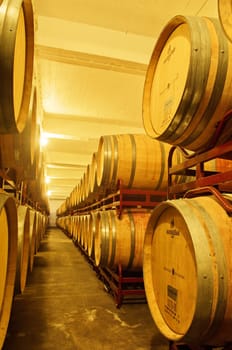 Wine cellar