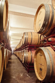 Wine cellar