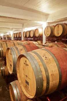 Wine cellar