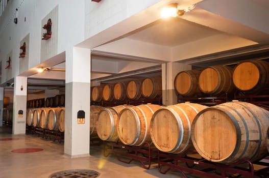 Wine cellar