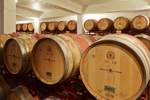 Wine cellar